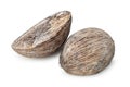 Dried coconut on white. Royalty Free Stock Photo
