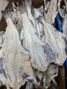 Dried cod in Fish shop, food and industry Royalty Free Stock Photo
