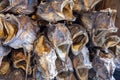 Dried Cod Heads Royalty Free Stock Photo