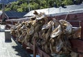 Dried cod heads Royalty Free Stock Photo