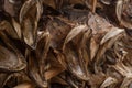 Dried cod heads piled in bale Royalty Free Stock Photo