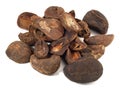 Dried Cola Nut on white Background - Isolated