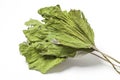 Dried Coltsfoot Leaves on White