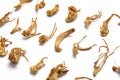 Dried cordyceps militaris mushroom Royalty Free Stock Photo