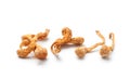 dried cordyceps militaris mushroom Royalty Free Stock Photo