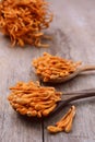 Dried cordyceps militaris mushroom Royalty Free Stock Photo