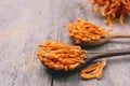 Dried cordyceps militaris mushroom Royalty Free Stock Photo