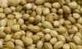 Dried coriander seed close up Royalty Free Stock Photo
