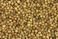 Dried coriander seeds background Royalty Free Stock Photo