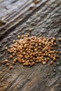 Dried coriander seeds Royalty Free Stock Photo