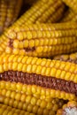 Dried corn cobs Royalty Free Stock Photo