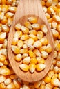 Dried Corn grain in wooden spoon background. Royalty Free Stock Photo