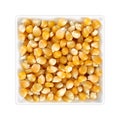 Dried corn grains in square bowl on white background Royalty Free Stock Photo