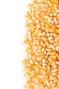 Dried corn grains Royalty Free Stock Photo