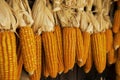 Dried corn hung up outside rural house in Thailand