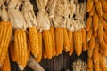 Dried corn hung up outside rural house in Thailand