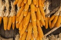 Dried corn hung up outside rural house in Thailand