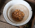 Dried Corn Kernels in Nested Enamel Bowls on Wood Royalty Free Stock Photo