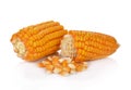 Dried corn kernels isolated on white background.