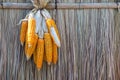 Dried corn with nypa leaf Royalty Free Stock Photo