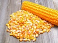 Dried corn seeds Royalty Free Stock Photo