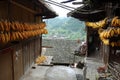 Dried Corns with Chinese Minority Village