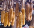 Dried corns closeup