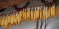 Dried corns hanging on a wall on a market