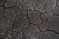 Dried crack soil ground texture