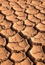 Dried, cracked earth forms a pattern Royalty Free Stock Photo