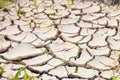 Dried and cracked earth pattern, drought concept Royalty Free Stock Photo