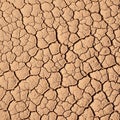 Is light brown, with deep crevices separating the hardened clay or Royalty Free Stock Photo