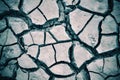 Dried cracked earth soil Royalty Free Stock Photo