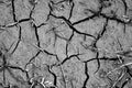 Dried cracked earth, soil ground texture abstract mosaic background Royalty Free Stock Photo