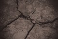 Dried cracked earth soil ground Royalty Free Stock Photo