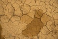 Dried cracked earth soil ground texture background. Royalty Free Stock Photo