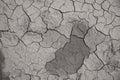 Dried cracked earth soil ground texture background. Royalty Free Stock Photo