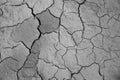 Dried cracked earth soil ground texture background. Royalty Free Stock Photo