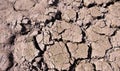 Dried cracked earth soil ground texture background, pattern of drought lack of water of nature old broken Royalty Free Stock Photo