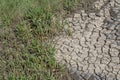 Dried , cracked earth soil after high tide