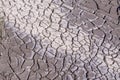 Dried , cracked earth soil after high tide Royalty Free Stock Photo