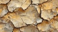 Dried Cracked Earth Surface Texture Pattern Royalty Free Stock Photo