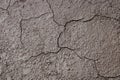 Dried cracked Earthen soil background texture of the soil. A mosaic pattern of earth`s dried soil