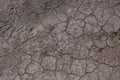 Dried cracked Earthen soil background texture of the soil. A mosaic pattern of earth`s dried soil