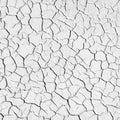 Dried cracked ground, black and white texture overlay
