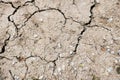 Dried and cracked mud soil fragment as a background Royalty Free Stock Photo