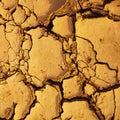 Dried cracked mud suitable as background and climate change symbol Royalty Free Stock Photo