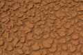 Dried cracked mud vector background Royalty Free Stock Photo
