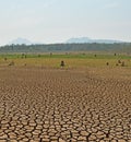 Dried and cracked soil in blue sky Royalty Free Stock Photo