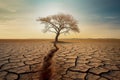 Dried cracked soil, dry wood, the scarcity of the desert landscape, the atmosphere of hopelessness. View at sunset.